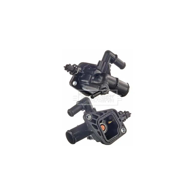 Thermostat d'eau BORG & BECK BBT500