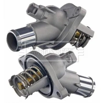Thermostat d'eau BORG & BECK BBT503