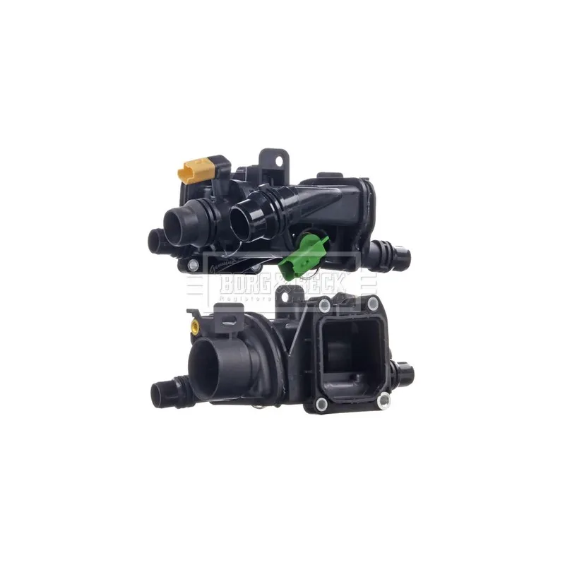 Thermostat d'eau BORG & BECK BBT505