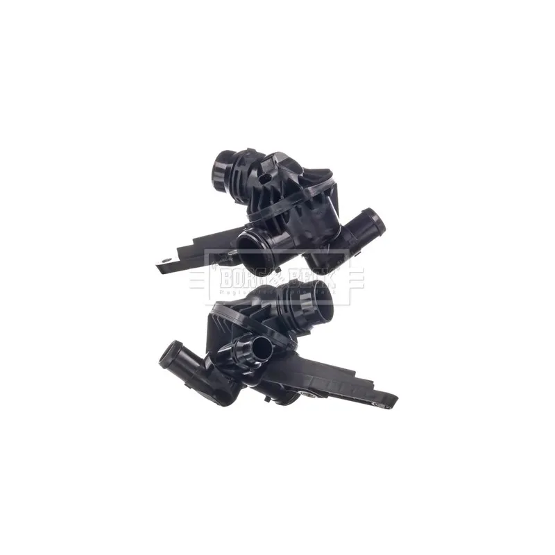 Thermostat d'eau BORG & BECK BBT509