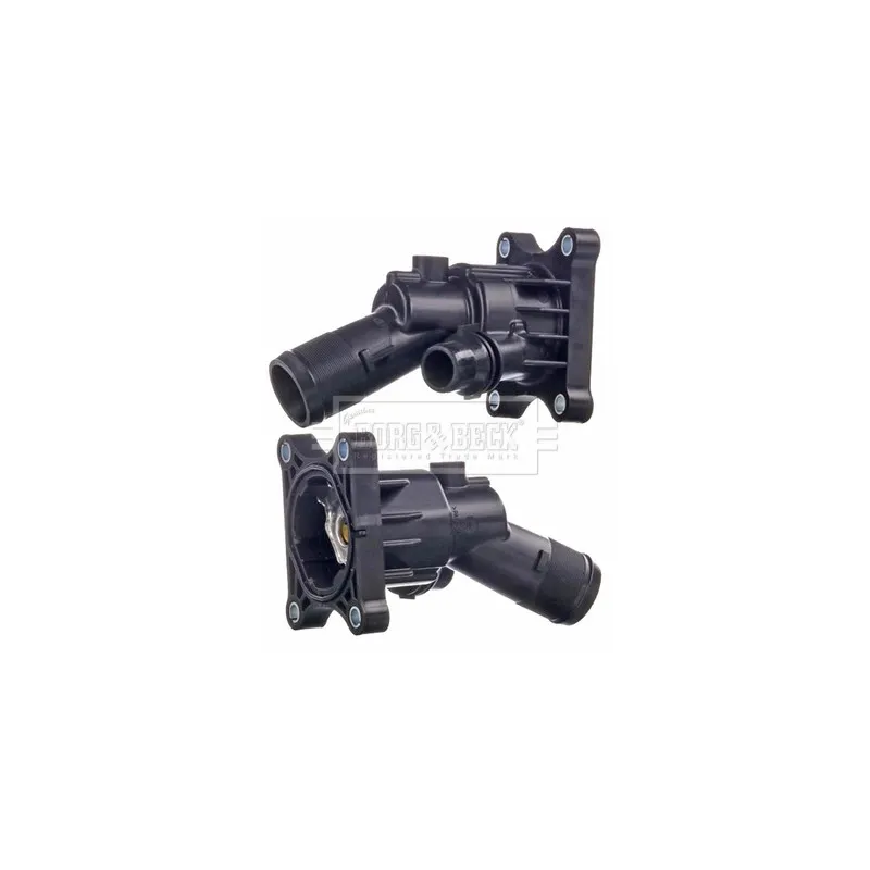Thermostat d'eau BORG & BECK BBT511