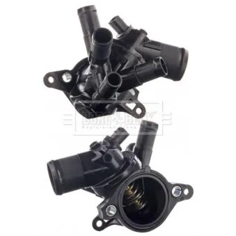 Thermostat d'eau BORG & BECK BBT520