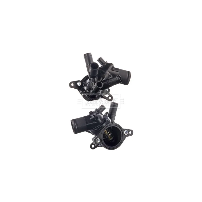 Thermostat d'eau BORG & BECK BBT520