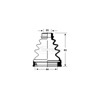 Joint-soufflet, arbre de commande BORG & BECK BCB2805