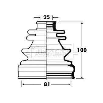 Joint-soufflet, arbre de commande BORG & BECK BCB2845