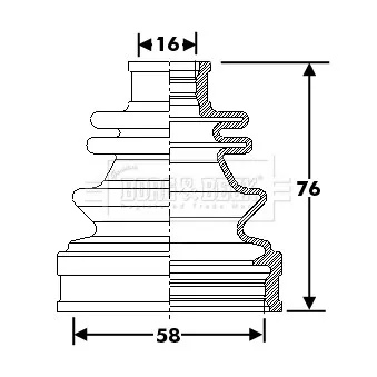 Joint-soufflet, arbre de commande BORG & BECK BCB6302