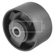 Support moteur BORG & BECK BEM3243 - Visuel 1