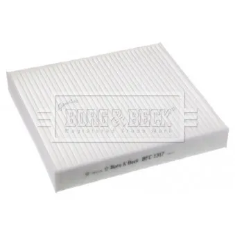 Filtre, air de l'habitacle BORG & BECK BFC1317