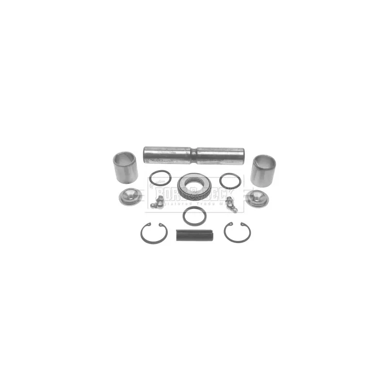 Kit d'assemblage, pivot de fusée d'essieu BORG & BECK BKP5828W
