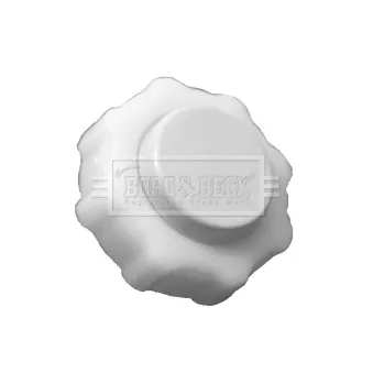 Bouchon, réservoir de liquide de refroidissement BORG & BECK BRC98