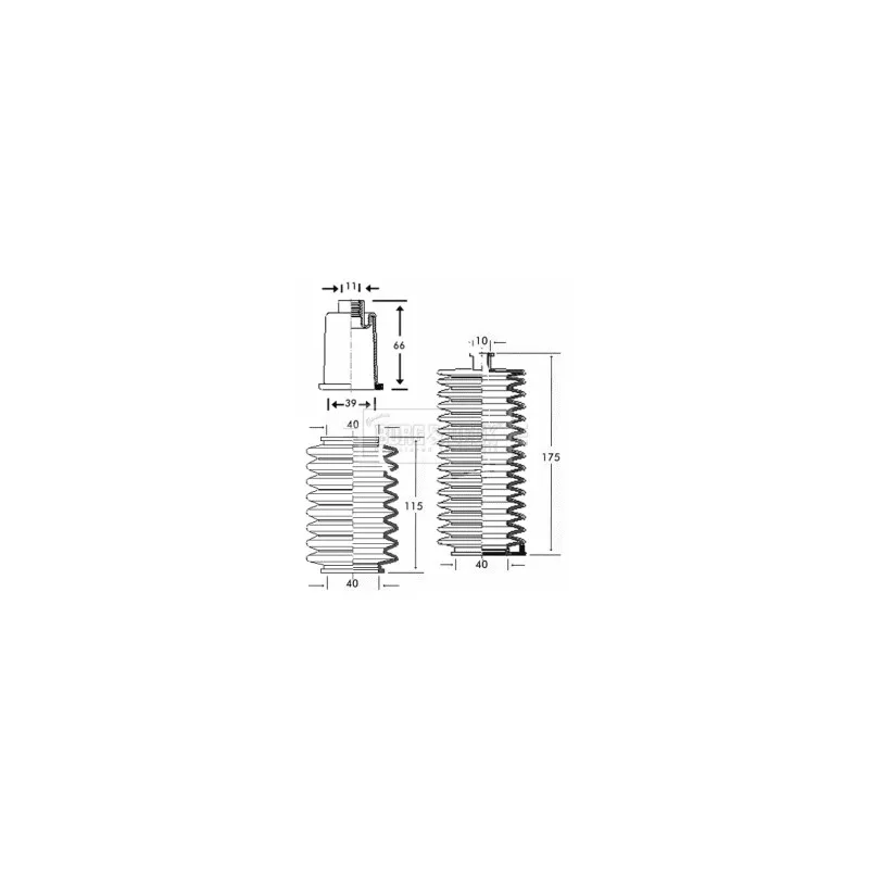 Joint-soufflet, direction BORG & BECK BSG3165