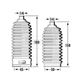 Joint-soufflet, direction BORG & BECK