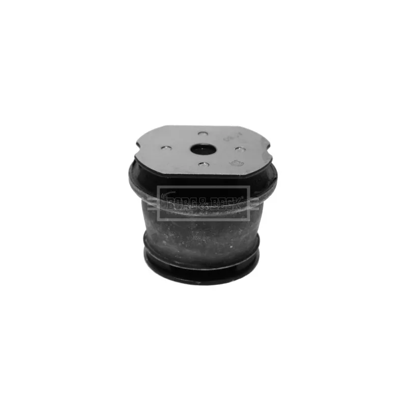 Suspension, support d'essieu BORG & BECK BSM2029