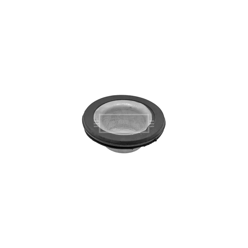 Patin de ressort BORG & BECK BSM5365
