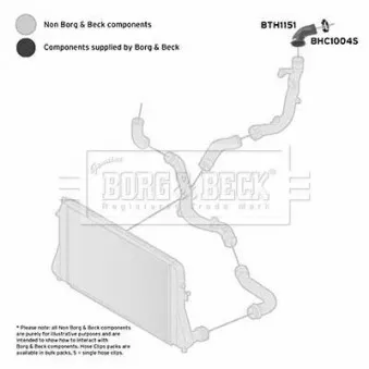 Gaine de suralimentation BORG & BECK BTH1151