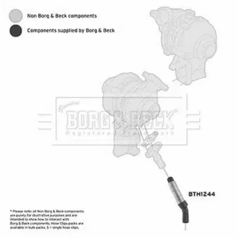 Gaine de suralimentation BORG & BECK BTH1244