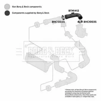 Gaine de suralimentation BORG & BECK BTH1412