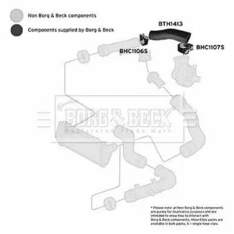 Gaine de suralimentation BORG & BECK BTH1413