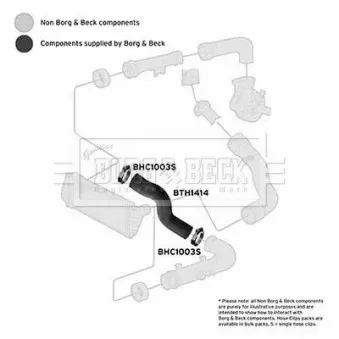 Gaine de suralimentation BORG & BECK BTH1414