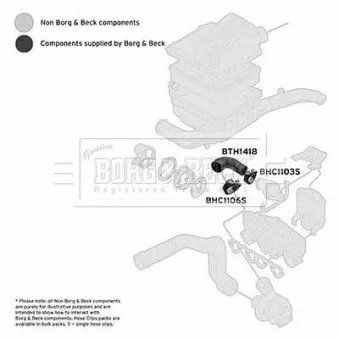 Gaine de suralimentation BORG & BECK BTH1418