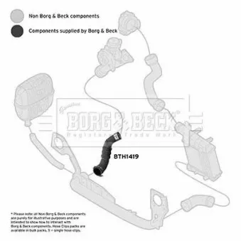 Gaine de suralimentation BORG & BECK BTH1419