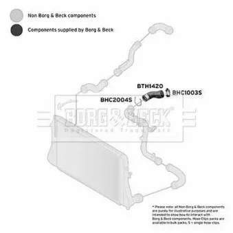 Gaine de suralimentation BORG & BECK BTH1420