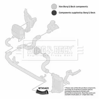 Gaine de suralimentation BORG & BECK BTH1421
