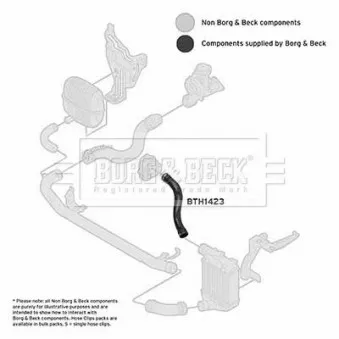 Gaine de suralimentation BORG & BECK BTH1423