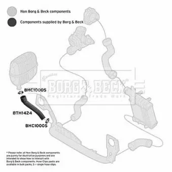 Gaine de suralimentation BORG & BECK BTH1424