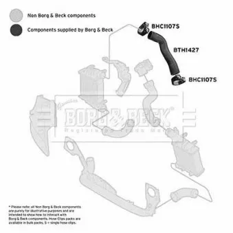 Gaine de suralimentation BORG & BECK BTH1427