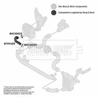 Gaine de suralimentation BORG & BECK BTH1428