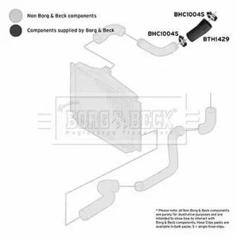 Gaine de suralimentation BORG & BECK BTH1429