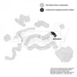 Gaine de suralimentation BORG & BECK BTH1497 - Visuel 2
