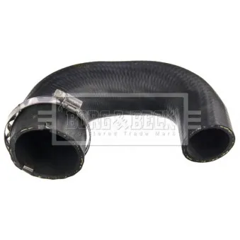 Gaine de suralimentation BORG & BECK BTH1573
