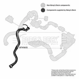 Gaine de suralimentation BORG & BECK BTH1615