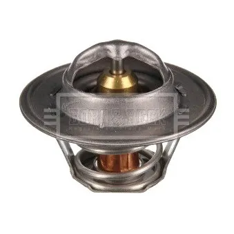 Thermostat d'eau BORG & BECK BTS104.74