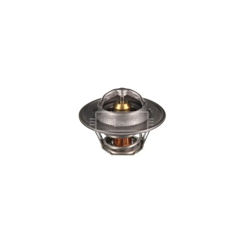 Thermostat d'eau BORG & BECK BTS104.74
