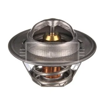 Thermostat d'eau BORG & BECK BTS104.82
