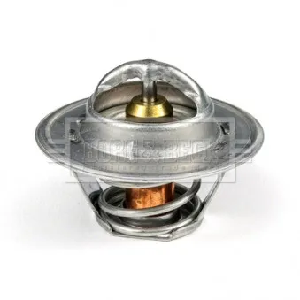 Thermostat d'eau BORG & BECK BTS104.88
