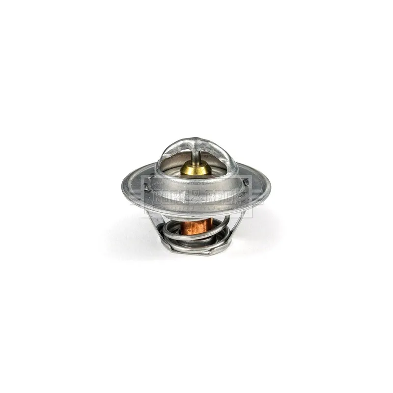 Thermostat d'eau BORG & BECK BTS104.88