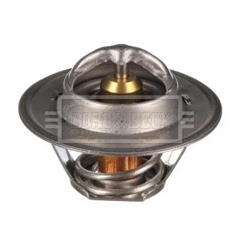 Thermostat d'eau BORG & BECK BTS104.92