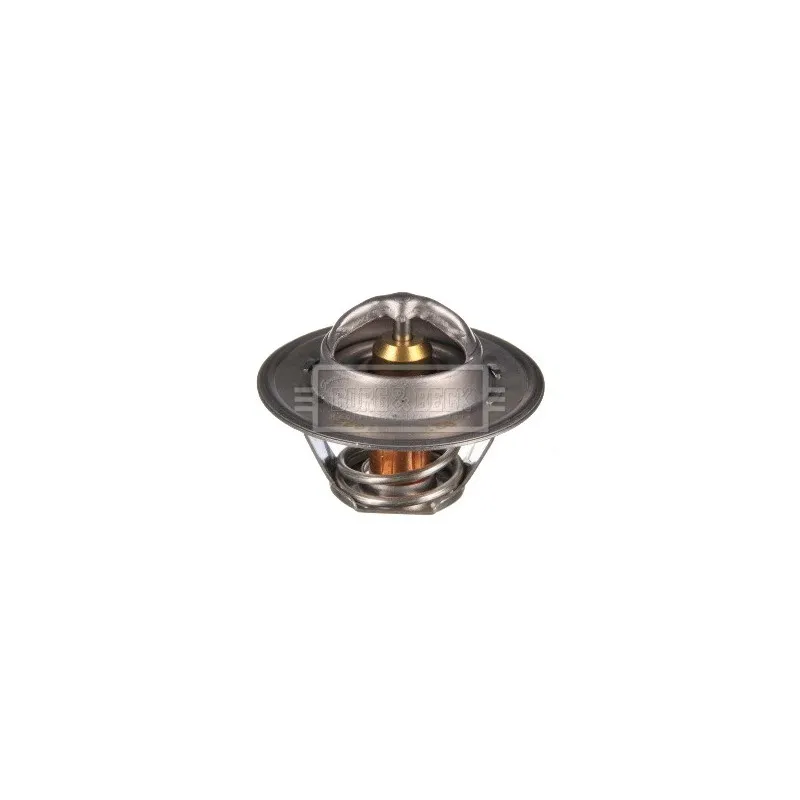 Thermostat d'eau BORG & BECK BTS104.92