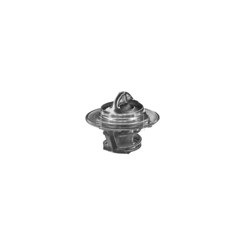 Thermostat d'eau BORG & BECK BTS107.82