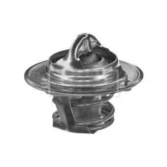 Thermostat d'eau BORG & BECK BTS107.92