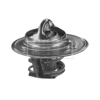 Thermostat d'eau BORG & BECK BTS110.88
