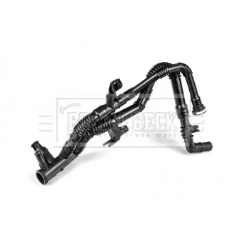 Durite de radiateur BORG & BECK BTS1127
