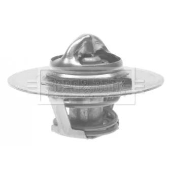 Thermostat d'eau BORG & BECK BTS113.90