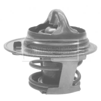 Thermostat d'eau BORG & BECK BTS116.80