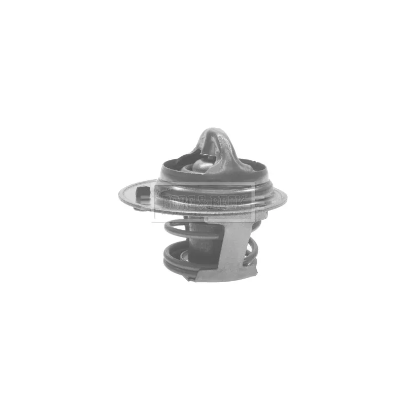 Thermostat d'eau BORG & BECK BTS116.90