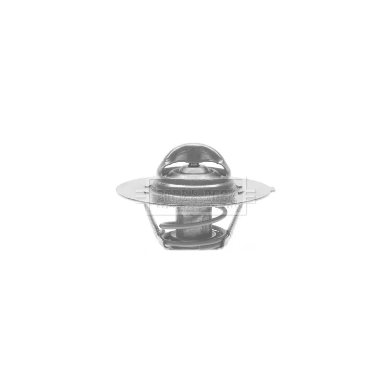Thermostat d'eau BORG & BECK BTS121.82